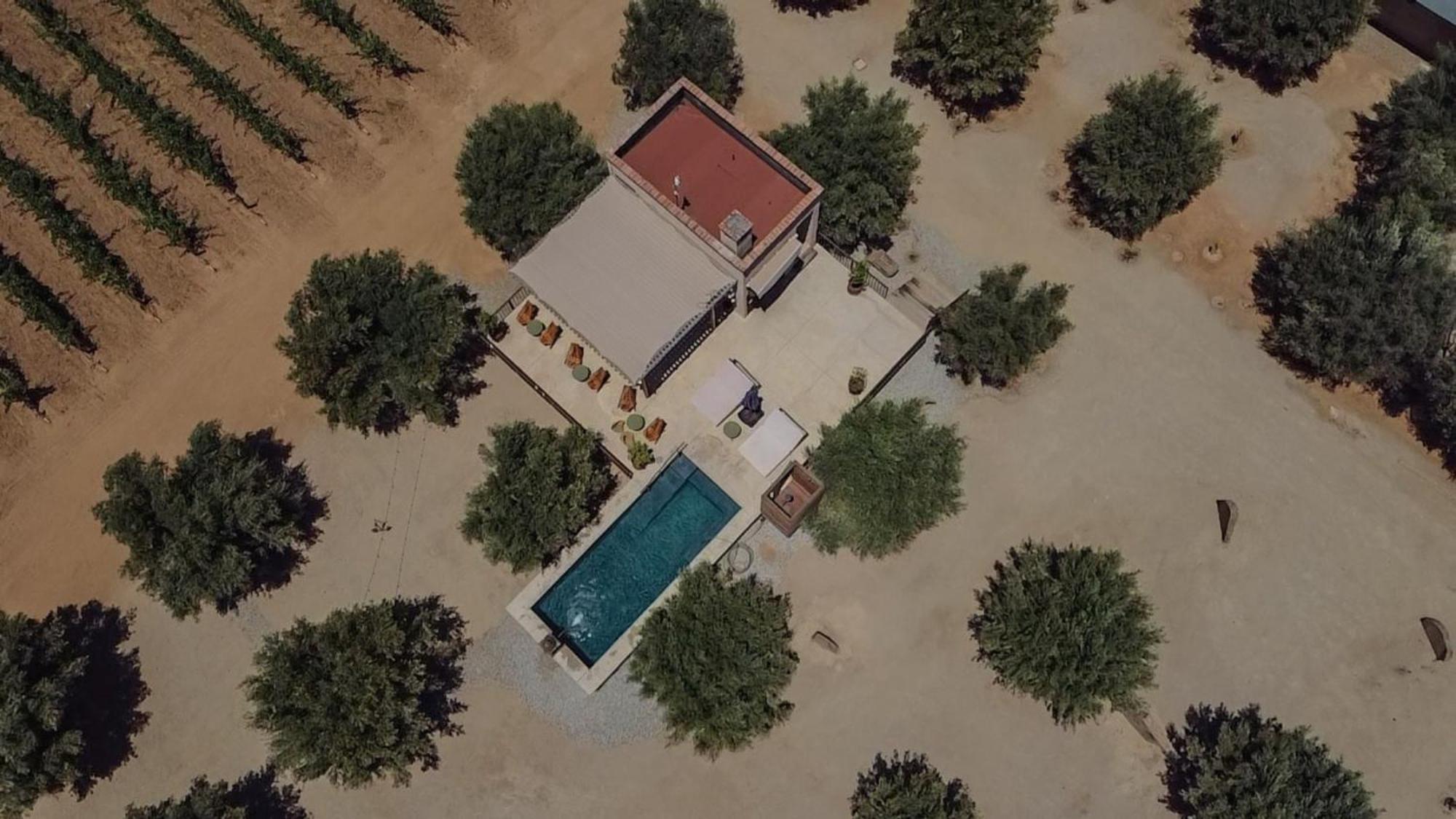 Alma Liebre Vinedos Del Valle Valle de Guadalupe Exterior photo