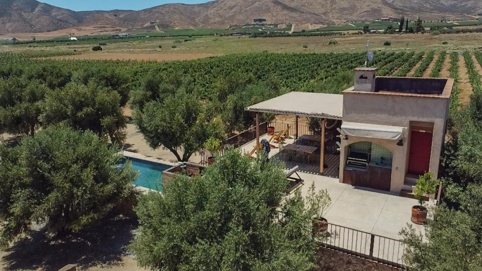 Alma Liebre Vinedos Del Valle Valle de Guadalupe Exterior photo