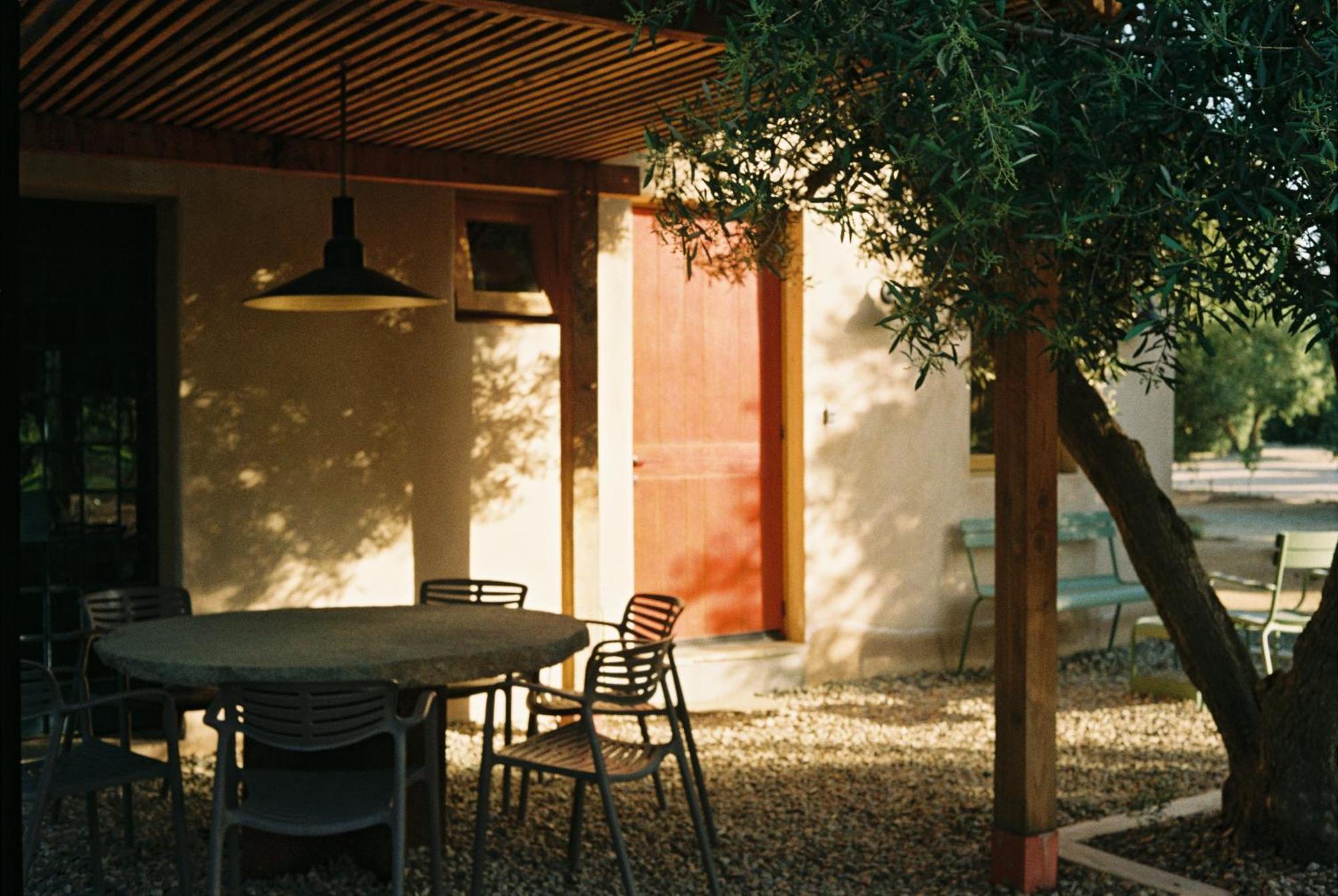 Alma Liebre Vinedos Del Valle Valle de Guadalupe Exterior photo